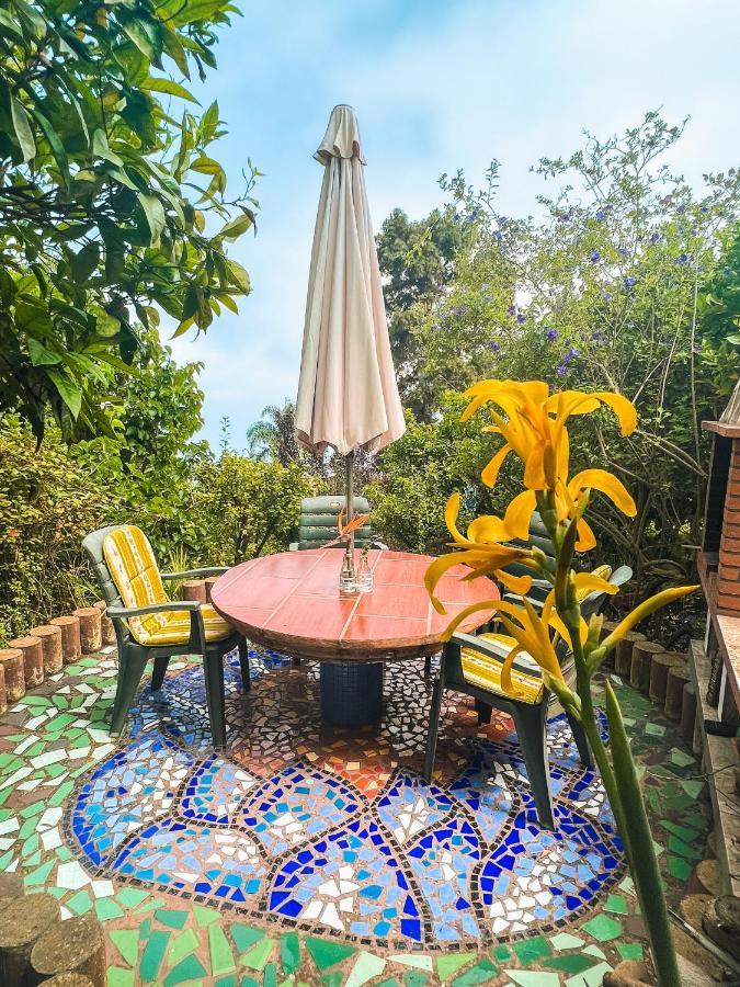 Canarian Cottage With Terrace Surrounded By Garden - Alisios La Orotava Eksteriør billede