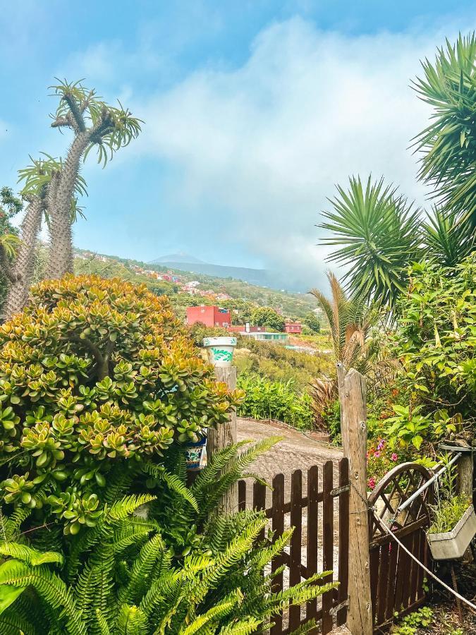Canarian Cottage With Terrace Surrounded By Garden - Alisios La Orotava Eksteriør billede