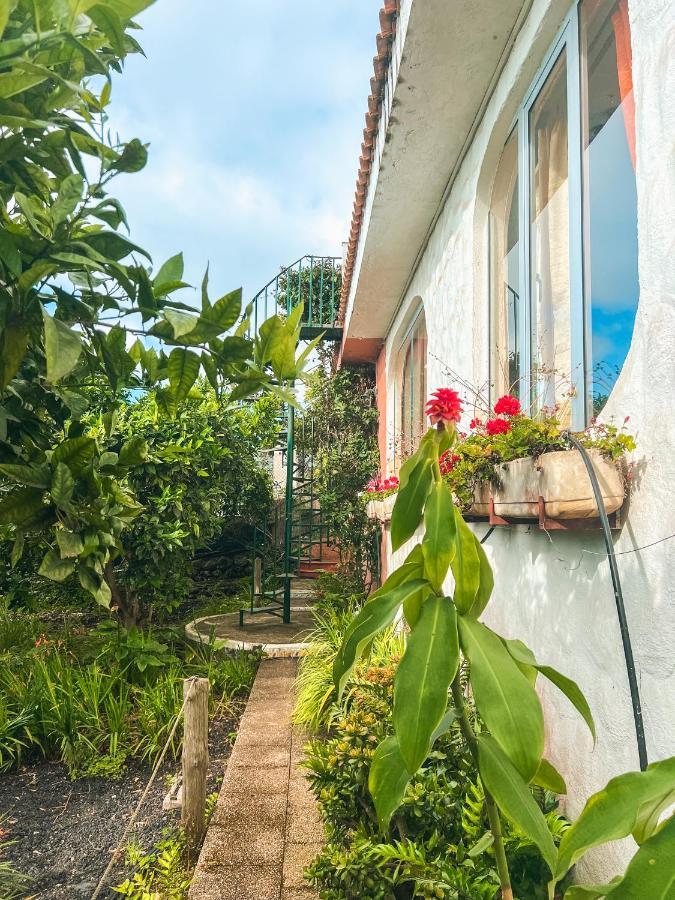 Canarian Cottage With Terrace Surrounded By Garden - Alisios La Orotava Eksteriør billede