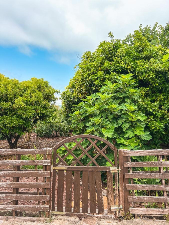 Canarian Cottage With Terrace Surrounded By Garden - Alisios La Orotava Eksteriør billede